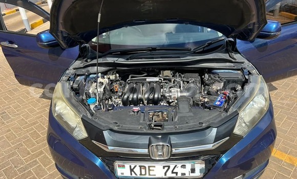 Acheter Occasion Voiture Honda Vezel Bleu à Bundibugyo, Occidental Acheter Occasion Voiture Honda Vezel Bleu à Bundibugyo, Occidental