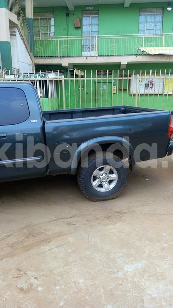 Big with watermark t2