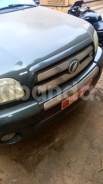 Big with watermark t4