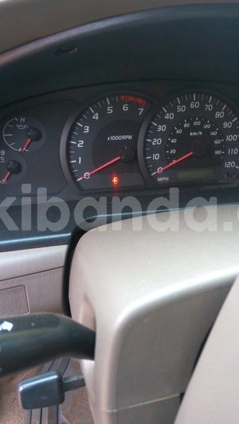 Big with watermark t5