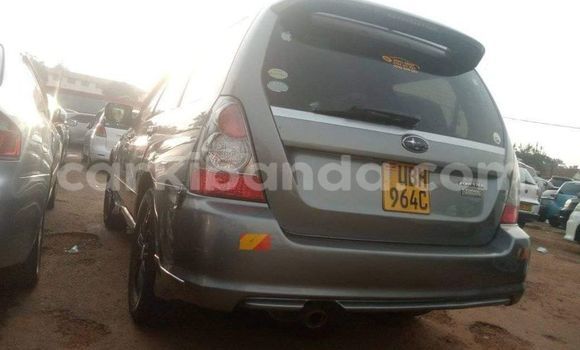 Buy Used Subaru Forester Other Car in Kampala in Uganda Buy Used Subaru Forester Other Car in Kampala in Uganda