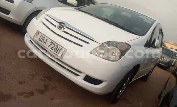 Buy Used Toyota Spacio Other Car in Arua in Uganda