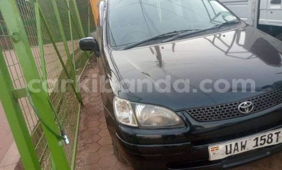 Buy Used Toyota Spacio Other Car in Kampala in Uganda Buy Used Toyota Spacio Other Car in Kampala in Uganda