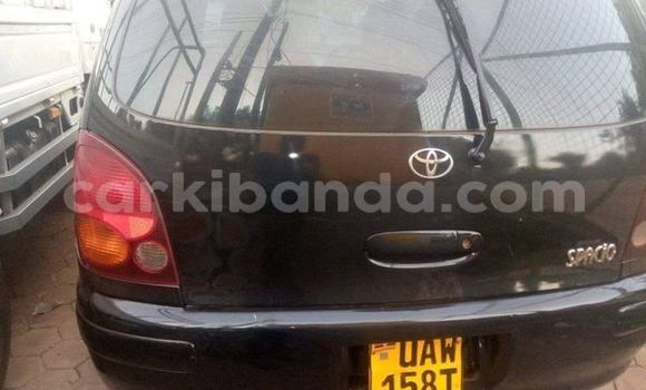 Buy Used Toyota Spacio Other Car in Kampala in Uganda Buy Used Toyota Spacio Other Car in Kampala in Uganda