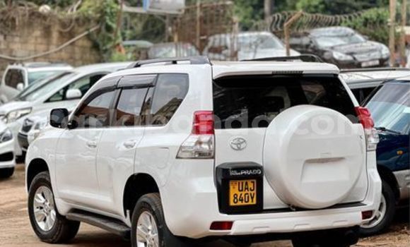 Buy Used Toyota Land Cruiser Prado Other Car in Arua in Uganda