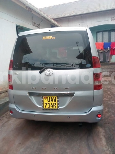 Big with watermark 49671272 1118875991628533 2146109043716915200 n