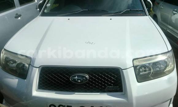 Buy Used Subaru Forester White Car in Kampala in Uganda Buy Used Subaru Forester White Car in Kampala in Uganda