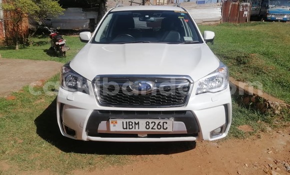 Buy Used Subaru XT White Car in Bundibugyo in Western