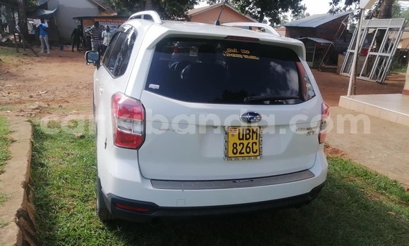 Buy Used Subaru XT White Car in Bundibugyo in Western Buy Used Subaru XT White Car in Bundibugyo in Western