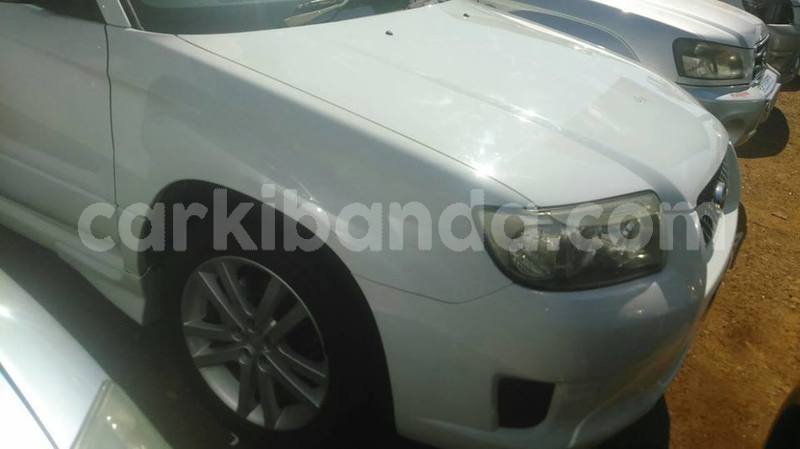 Big with watermark 49178096 1230918783723663 6925691737541181440 n