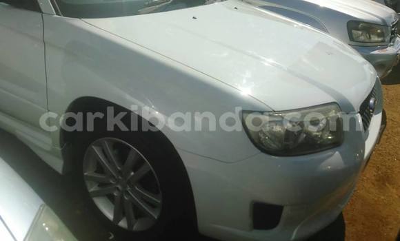 Buy Used Subaru Forester White Car in Kampala in Uganda Buy Used Subaru Forester White Car in Kampala in Uganda