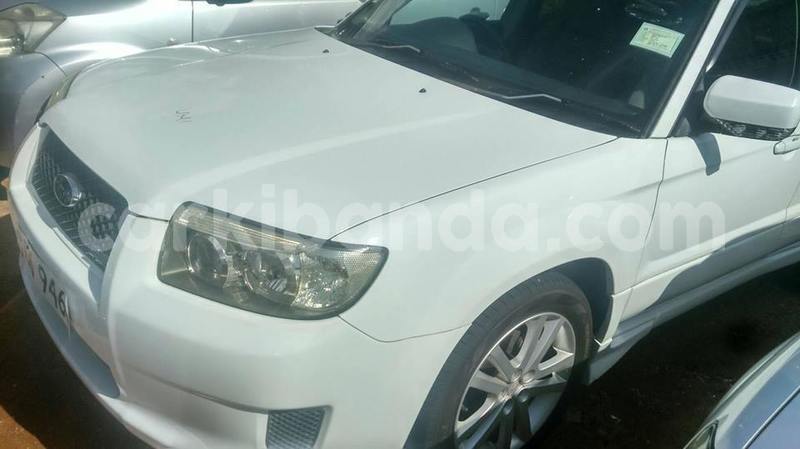 Big with watermark 49347994 1230918937056981 4575917294563098624 n