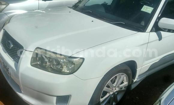 Buy Used Subaru Forester White Car in Kampala in Uganda Buy Used Subaru Forester White Car in Kampala in Uganda