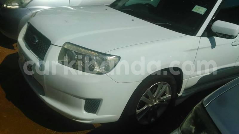 Big with watermark 49397647 1230918797056995 4691174103455891456 n