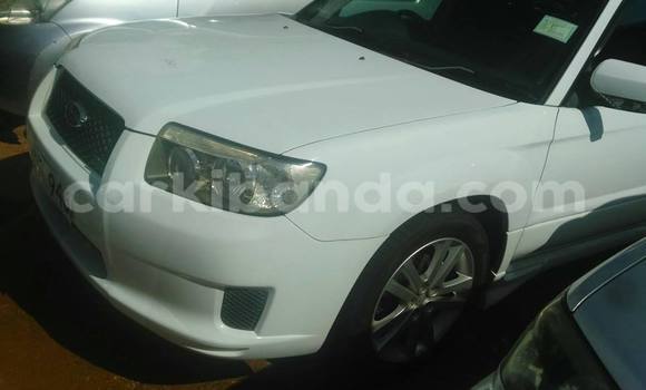 Buy Used Subaru Forester White Car in Kampala in Uganda Buy Used Subaru Forester White Car in Kampala in Uganda