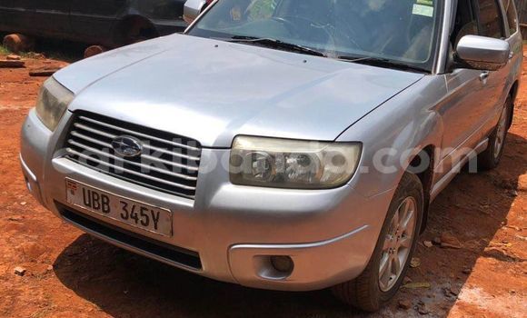 Acheter Occasion Voiture Subaru Forester Autre à Apac, Nord