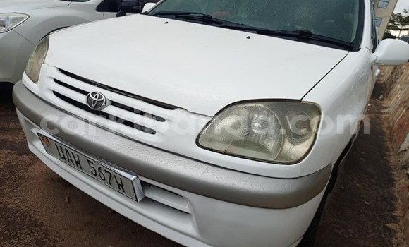 Buy Used Toyota Raum White Car in Amudat in Northern