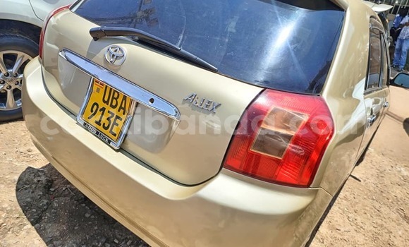 Acheter Occasion Voiture Toyota Allex Autre à Bugembe, Est Acheter Occasion Voiture Toyota Allex Autre à Bugembe, Est