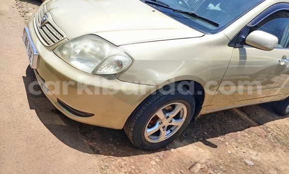 Acheter Occasion Voiture Toyota Allex Autre à Bugembe, Est Acheter Occasion Voiture Toyota Allex Autre à Bugembe, Est