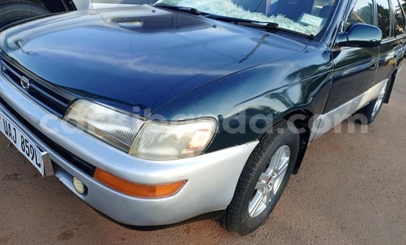 Cars for sale in uganda - carkibanda