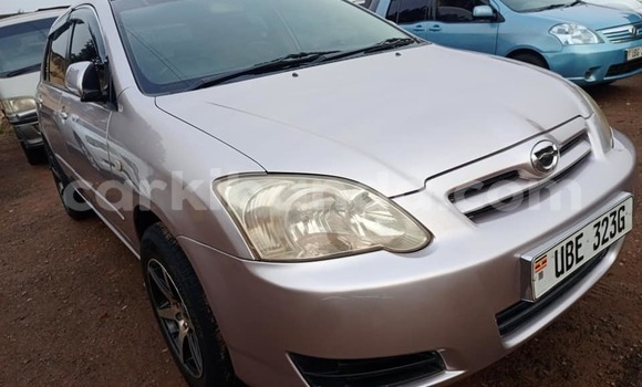 Buy Used Toyota Allex Other Car in Arua in Uganda Buy Used Toyota Allex Other Car in Arua in Uganda