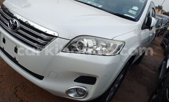Buy Used Toyota Vanguard White Car in Arua in Uganda