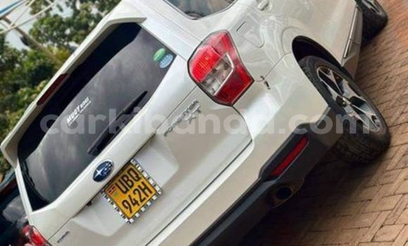 Acheter Occasion Voiture Subaru Forester Autre à Kampala, Ouganda Acheter Occasion Voiture Subaru Forester Autre à Kampala, Ouganda