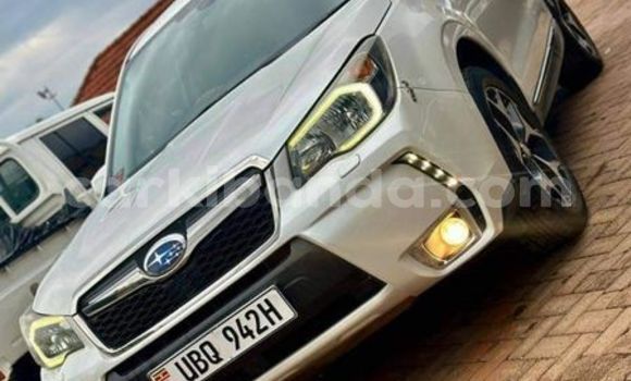 Acheter Occasion Voiture Subaru Forester Autre à Kampala, Ouganda Acheter Occasion Voiture Subaru Forester Autre à Kampala, Ouganda