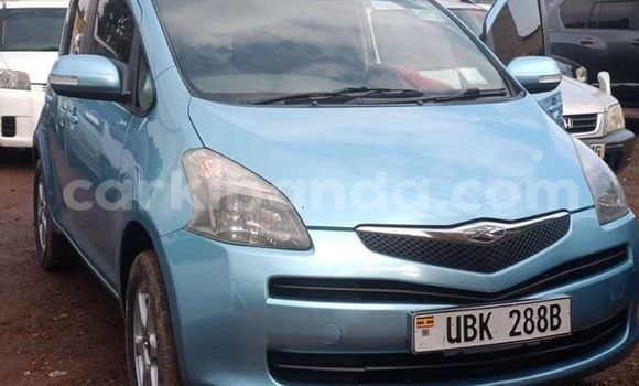 Buy Used Toyota Ractis Other Car in Kampala in Uganda