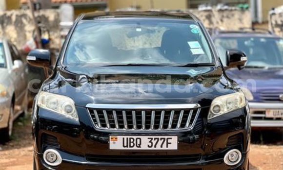 Buy Used Toyota Vanguard Other Car in Kampala in Uganda