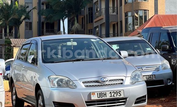 Acheter Occasion Voiture Toyota Allex Autre à Kampala, Ouganda Acheter Occasion Voiture Toyota Allex Autre à Kampala, Ouganda