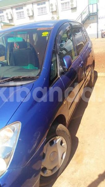 Big with watermark 49439081 1653644488114959 1081663977076817920 n