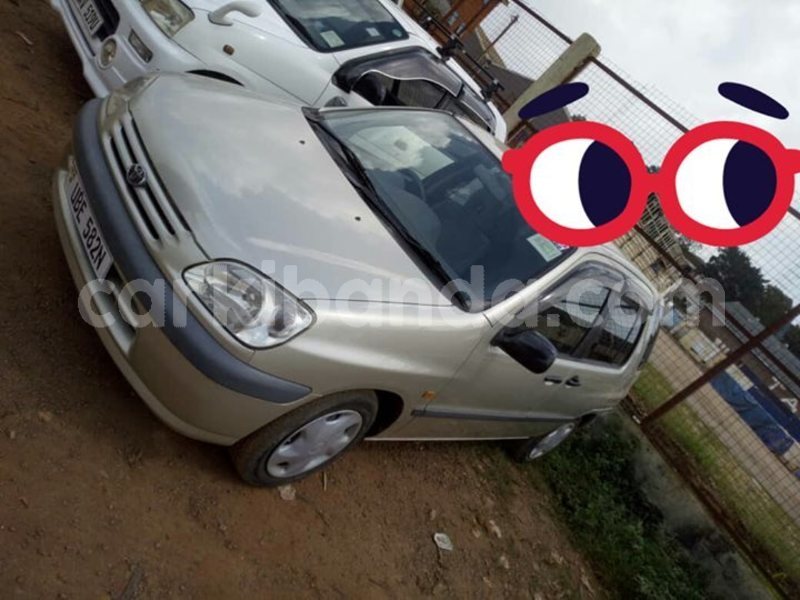 Big with watermark 48387018 1645369002275841 8813899978092052480 o