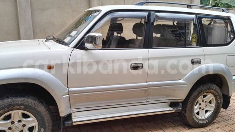 Big with watermark 48363908 1635469649932443 7231669717423882240 n