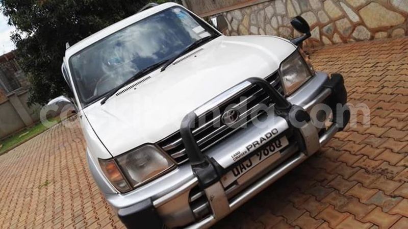 Big with watermark 48187943 1635469626599112 3618575084354011136 n