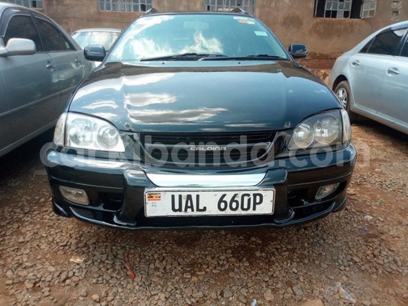 Big with watermark 49513297 327240698119309 7519473023502516224 o