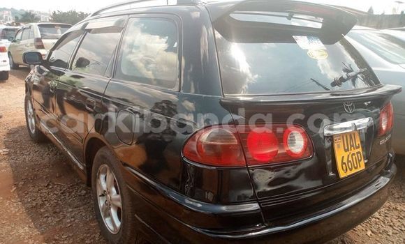 Buy Used Toyota Caldina Black Car in Kampala in Uganda Buy Used Toyota Caldina Black Car in Kampala in Uganda