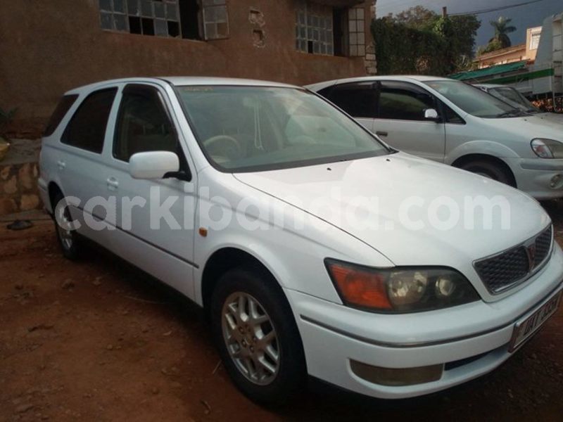 Big with watermark 49673939 326819808161398 273111511449206784 o