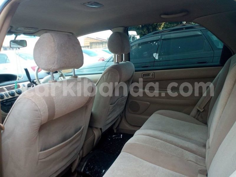 Big with watermark 49575751 326820068161372 3069418573022625792 o