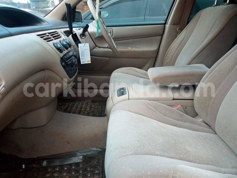 Big with watermark 49411108 326820018161377 8162771696089038848 o