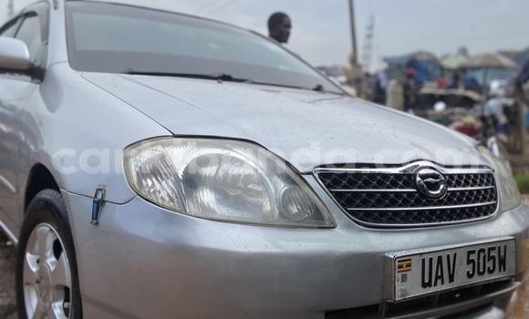 Buy Used Toyota Corolla Silver Car in Kampala in Uganda