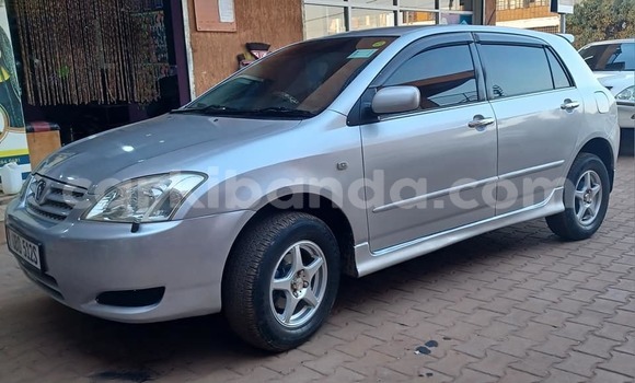 Acheter Occasion Voiture Toyota Allex Autre à Bundibugyo, Occidental Acheter Occasion Voiture Toyota Allex Autre à Bundibugyo, Occidental