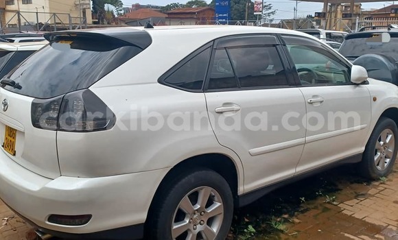 Buy Used Toyota Harrier White Car in Arua in Uganda Buy Used Toyota Harrier White Car in Arua in Uganda