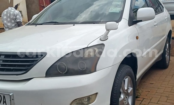 Buy Used Toyota Harrier White Car in Arua in Uganda Buy Used Toyota Harrier White Car in Arua in Uganda