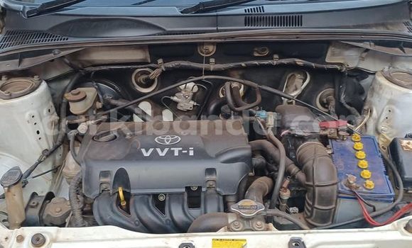 Acheter Occasion Voiture Toyota Probox Blanc à Arua, Ouganda Acheter Occasion Voiture Toyota Probox Blanc à Arua, Ouganda