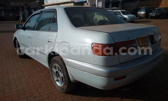 Buy Used Toyota Premio White Car in Kampala in Uganda Buy Used Toyota Premio White Car in Kampala in Uganda