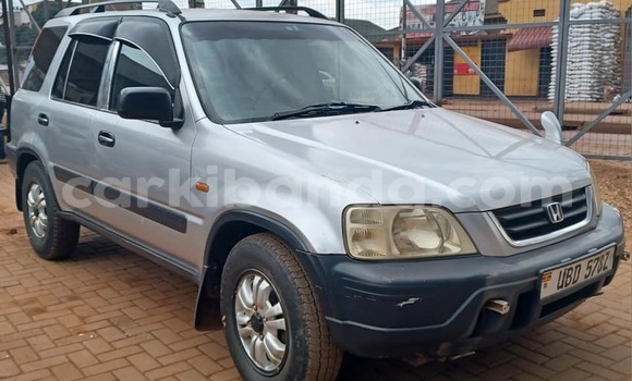 Buy Used Honda CR–V Other Car in Arua in Uganda