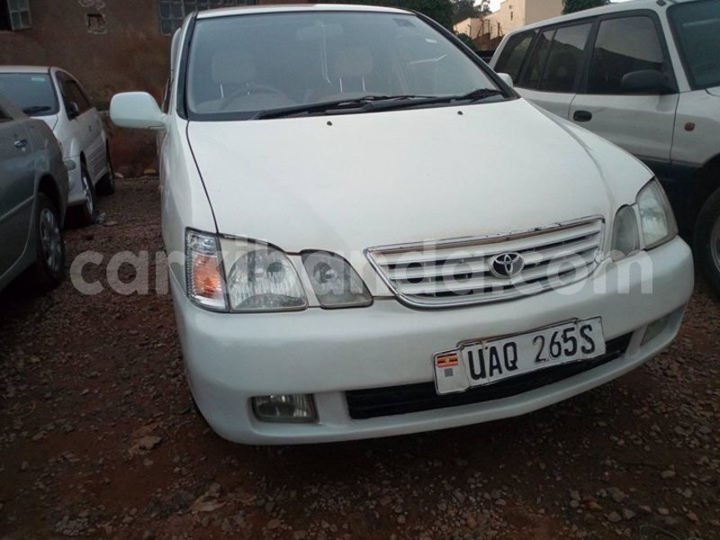 Big with watermark 49450611 324058678437511 8781176544954417152 o