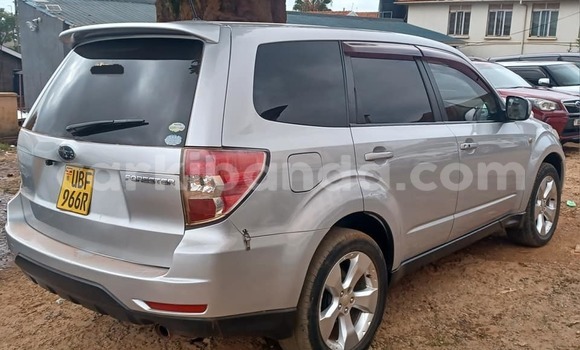 Buy Used Subaru Forester Other Car in Kampala in Uganda Buy Used Subaru Forester Other Car in Kampala in Uganda