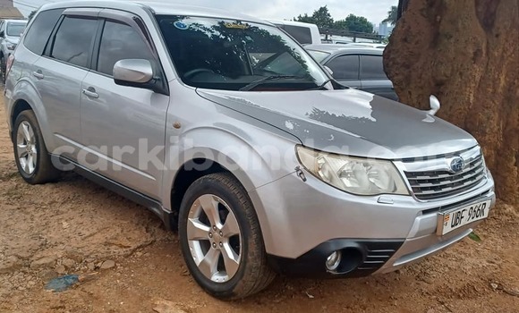 Buy Used Subaru Forester Other Car in Kampala in Uganda Buy Used Subaru Forester Other Car in Kampala in Uganda